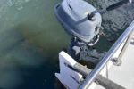 J Boats J/22 | 23ft - Afbeelding 15
