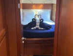 2017 Aquila 48 | 48ft - Afbeelding 16
