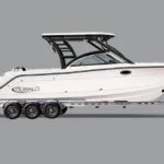 2026 Robalo R317 Dual Console | 31ft