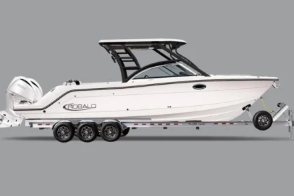 2026 Robalo R317 Dual Console | 31ft