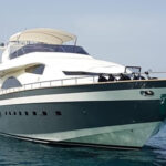 PERMARE AMER 86